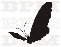 /album/hmyz/hmyz-25-jpg/